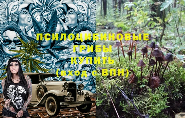 скорость Сосновка