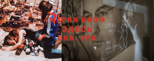 крисы Сосновый Бор