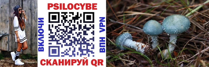 Псилоцибиновые грибы MAGIC MUSHROOMS  ссылка на мегу онион  Партизанск 